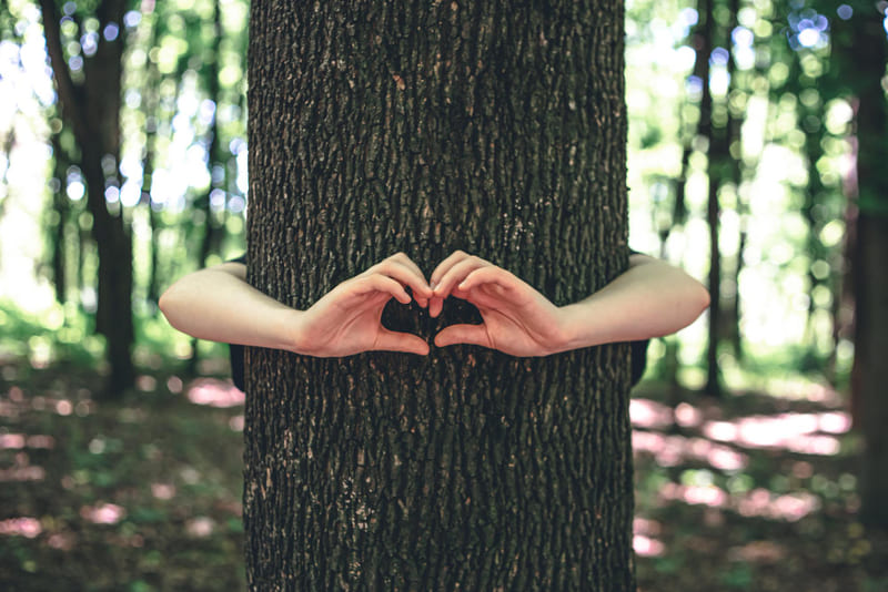 manos abrazando arbol bosque